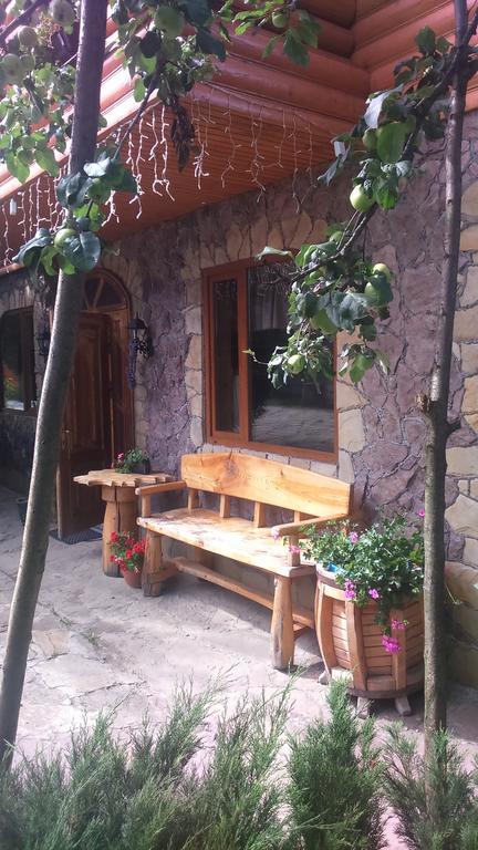 Doroga Dodomu Mykulychyn Exterior foto
